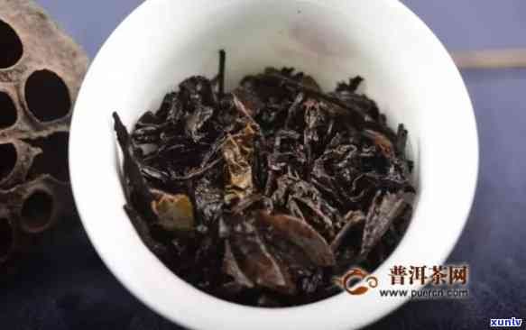 石雨益号普洱茶：全系列生茶与熟茶产品一览