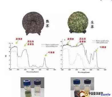 百年普洱茶的品质、功效与安全性解析：可饮用吗？有吗？如何鉴别？