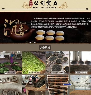 云南特色普洱茶专业生产与销售集团官方网站