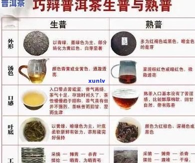 曼撒普洱茶：特点、品鉴、功效与冲泡 *** 全面解析