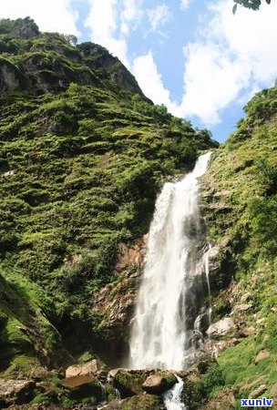 揭秘普洱茶 *** ：一斤普洱茶背后的茶叶比例与工艺流程