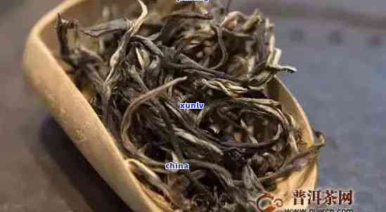 格朗普洱茶：价格对比与古树普洱茶的口感特点分析