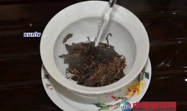 千年普洱茶怎么泡的