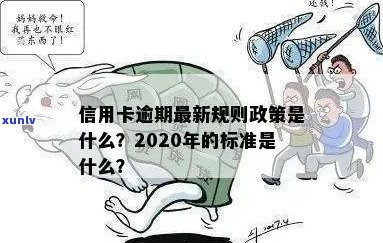 2020年银行信用卡逾期的应对策略与解读：减免政策解析