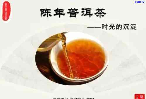 三年陈普洱茶：独特口感与饮用体验的完美结合