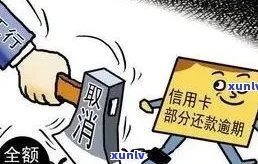 信用卡透支被法院执行：可能的后果与应对策略全面解析