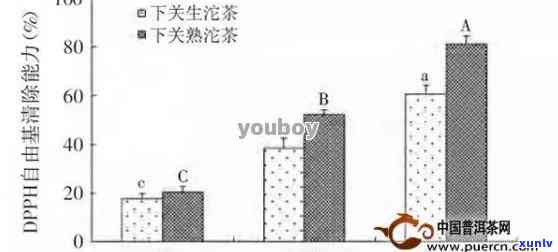 普洱茶水浸出物的全面评估标准：成分、功效与用途解析