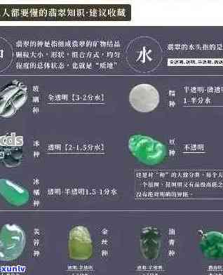 英诺翡翠精品真假鉴别：价格全方位对比分析