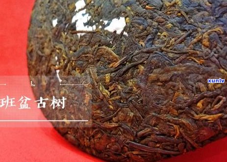 普洱茶喝有一股甜味