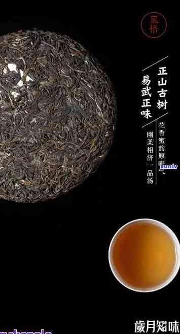 易武林英号茶：品味古树普洱的新境界