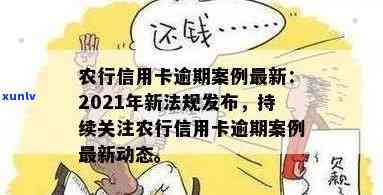 农业信用卡逾期金退还到账时间：新法规解读与3万逾期案例分析