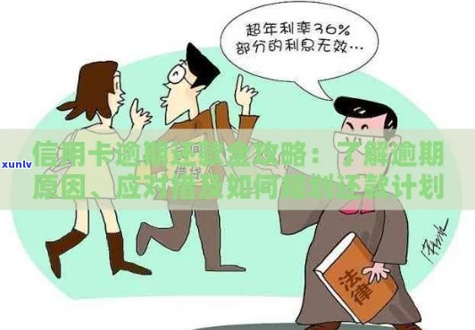 信用卡逾期还款全攻略：如何规划、应对与解决逾期问题