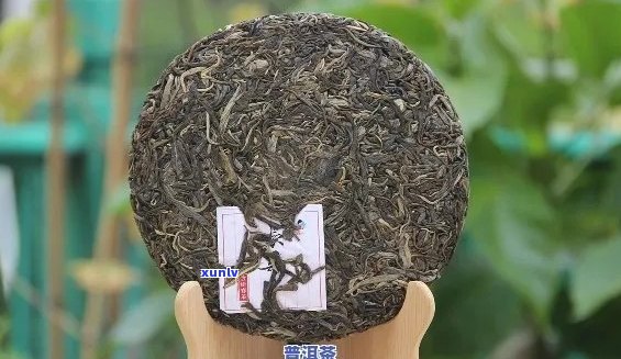 探索普洱茶口感巅峰：十大权威评测，揭示更受欢迎的普洱茶品种