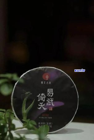 普洱茶哪款好？好喝又健，性价比高的牌子有哪些？