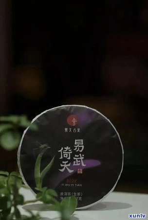 普洱茶哪款好？好喝又健，性价比高的牌子有哪些？