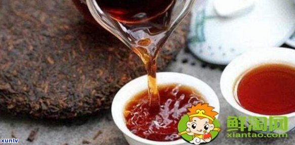 普洱茶哪一款喝