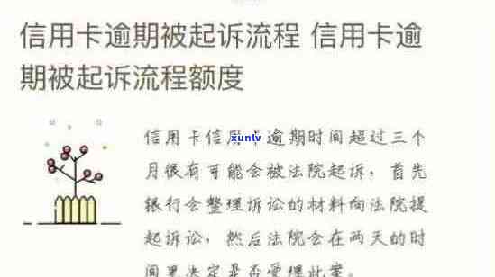 信用卡逾期后的法律程序及庭审时间：全面解析与解答