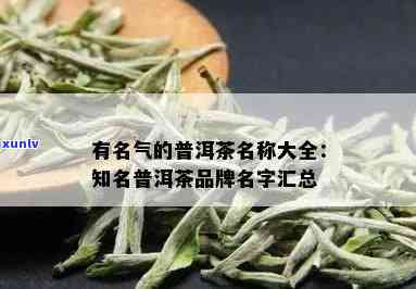 普洱茶知名名称大全：十大名品及市场热门推荐