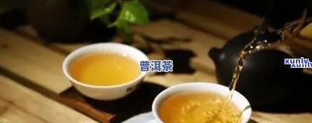 新普洱茶泡在杯子里的浸泡时间是否可以无限长？