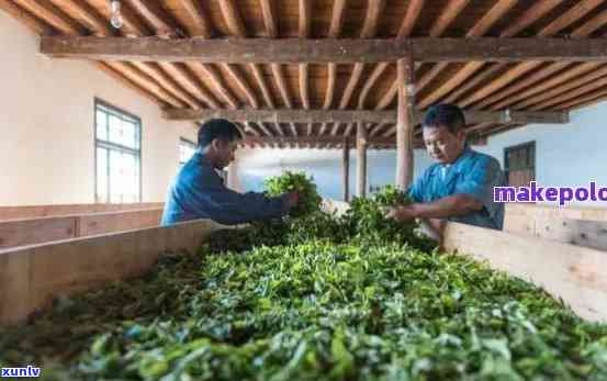 普洱龙源茶厂：品质越，茶叶种类丰富，为您提供一站式饮茶体验