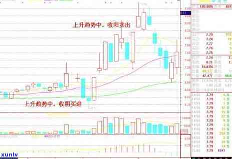 信用卡逾期本金五万的应对策略与解决方案全面解析