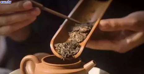 新普洱茶包泡法与时间指南：如何泡出口感？