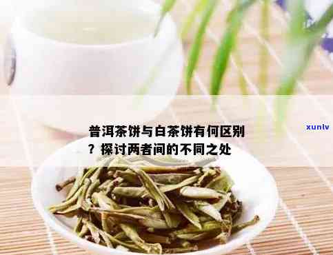 白茶与普洱茶的区别对比分析：哪个更好？