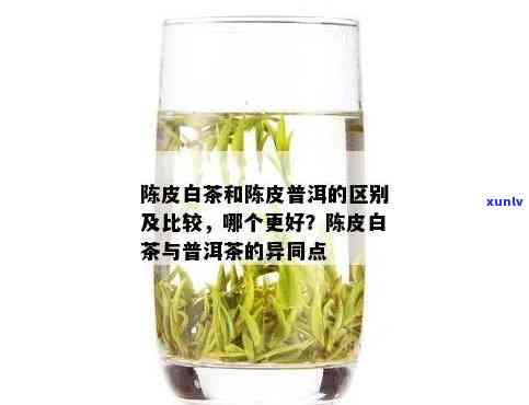 白茶与普洱茶的区别对比分析：哪个更好？