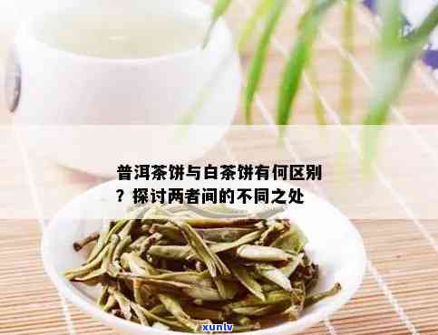 白茶跟普洱茶一样吗