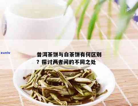 白茶跟普洱茶一样吗