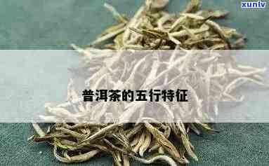 普洱茶的五行属性及其与茶叶品质的关系探讨