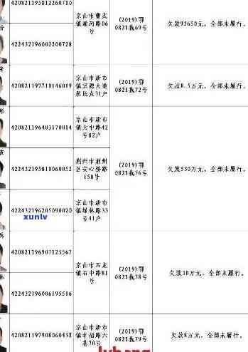 辉县市信用卡失信人员曝光名单：信贷风险警示及解决策略