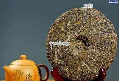 探究普洱茶饼冲泡次数与口感的完美匹配：一次冲泡的比例是多少？