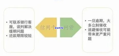 信用卡逾期了怎么办？全面指南解决您的还款困扰与信用问题