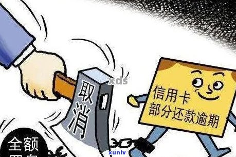 信用卡逾期次数过多