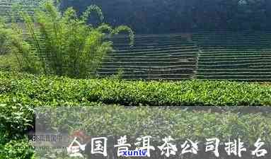 著名普洱茶茶厂排名与知名厂家一览