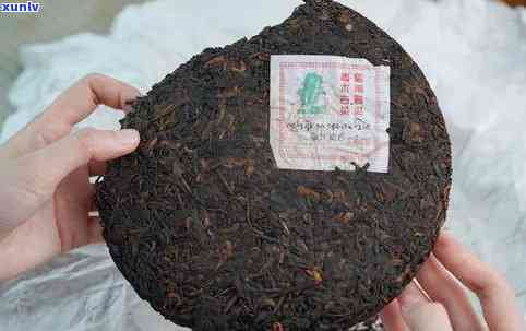 普洱茶茶号排名与含义解析：8853与536151的茶号尾数代表什么？