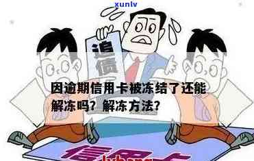 逾期信用卡被冻结后如何解冻？了解详细步骤和应对策略