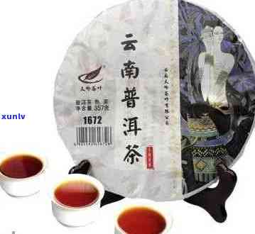 君享普洱茶价格是多少一斤？