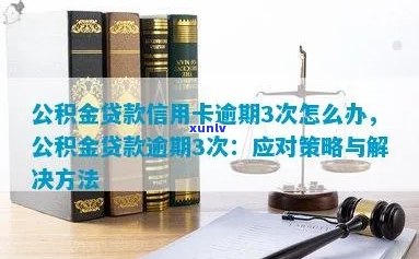 公积金贷款信用卡逾期怎么办