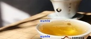 普洱茶闷泡一晚上吗