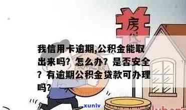 公积金信用卡逾期后果全方位解析：影响、应对策略及常见疑问解答