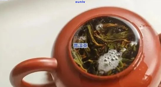 普洱茶出现气泡原因及水质要求