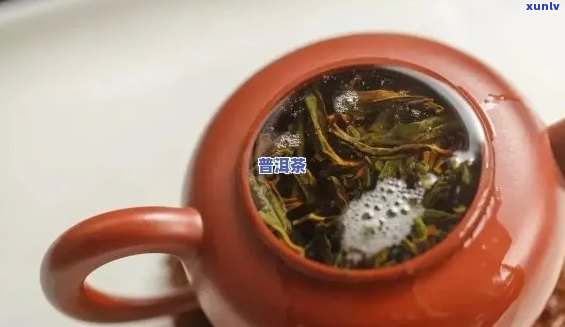 探究普洱茶中泡沫产生的科学原理与影响因素