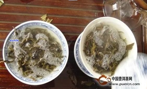 探究普洱茶中泡沫产生的科学原理与影响因素