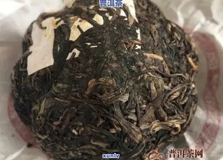 探究普洱茶中泡沫产生的科学原理与影响因素