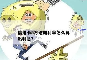 信用卡五万不逾期利息多少呢？