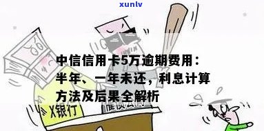 信用卡透支5万元一年未还款的利息计算与影响：详细解析与建议