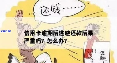 信用卡逾期能逃避吗