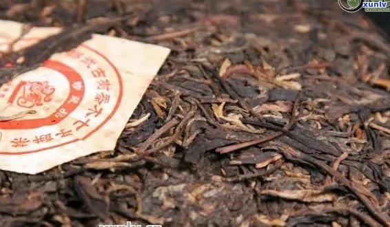 大叶普洱茶多少一斤